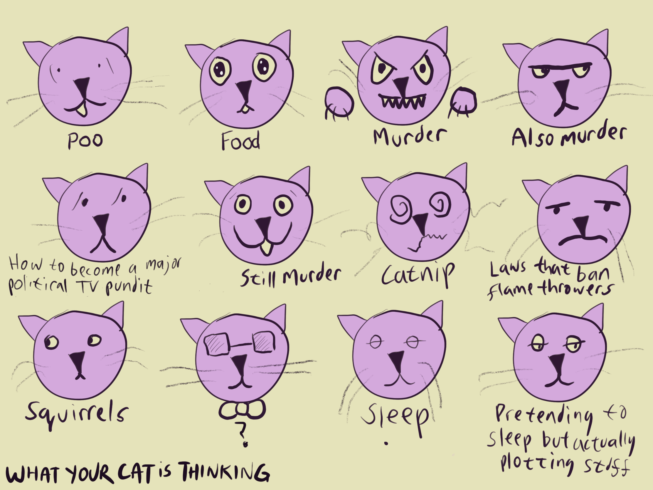 Cat Facial Expressions Chart